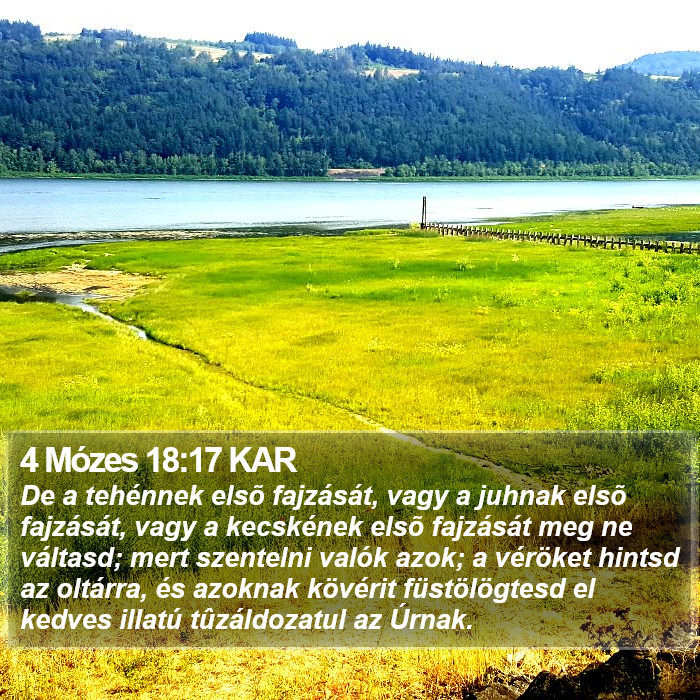 4 Mózes 18:17 KAR Bible Study