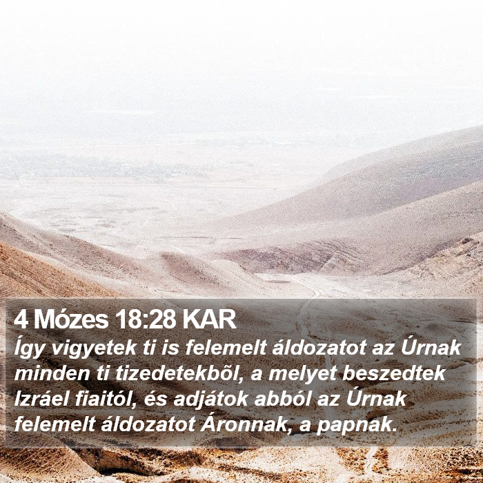 4 Mózes 18:28 KAR Bible Study