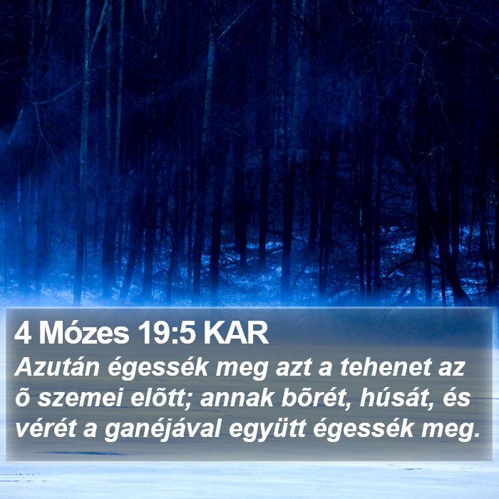 4 Mózes 19:5 KAR Bible Study