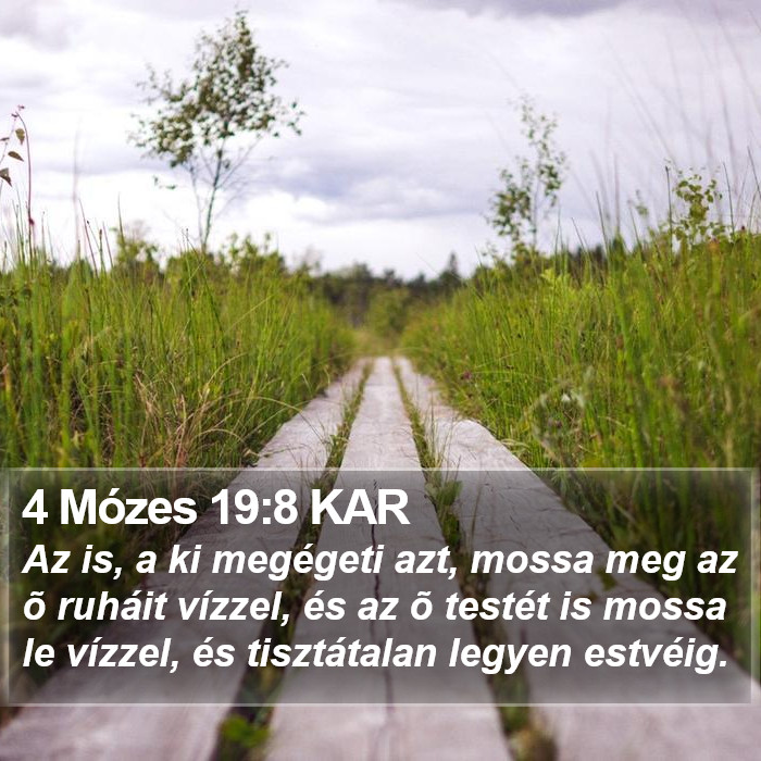 4 Mózes 19:8 KAR Bible Study