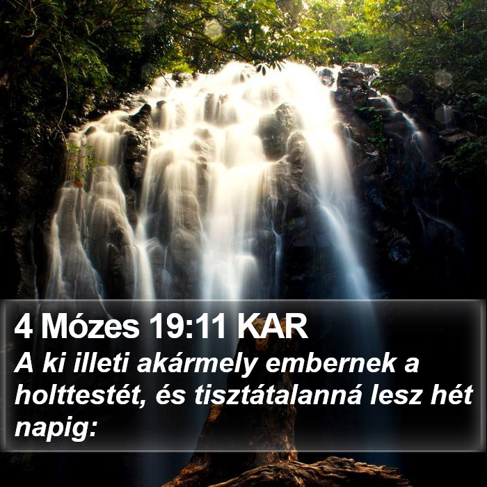 4 Mózes 19:11 KAR Bible Study