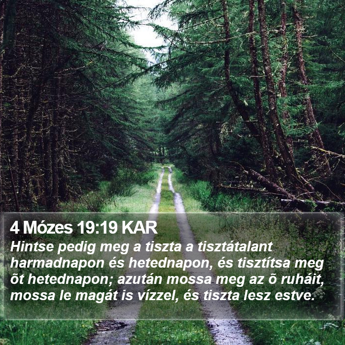 4 Mózes 19:19 KAR Bible Study