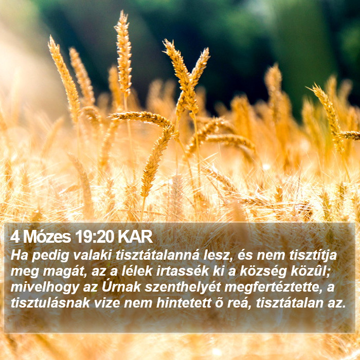 4 Mózes 19:20 KAR Bible Study