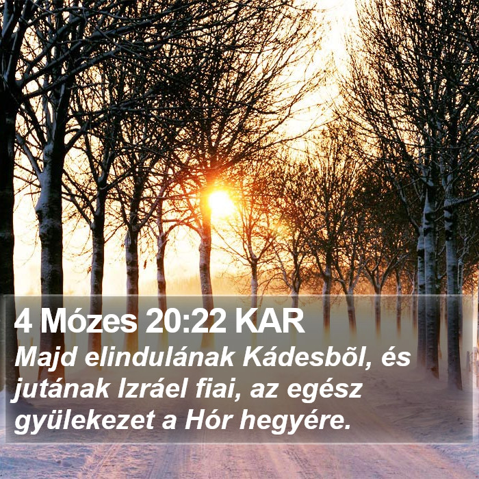 4 Mózes 20:22 KAR Bible Study