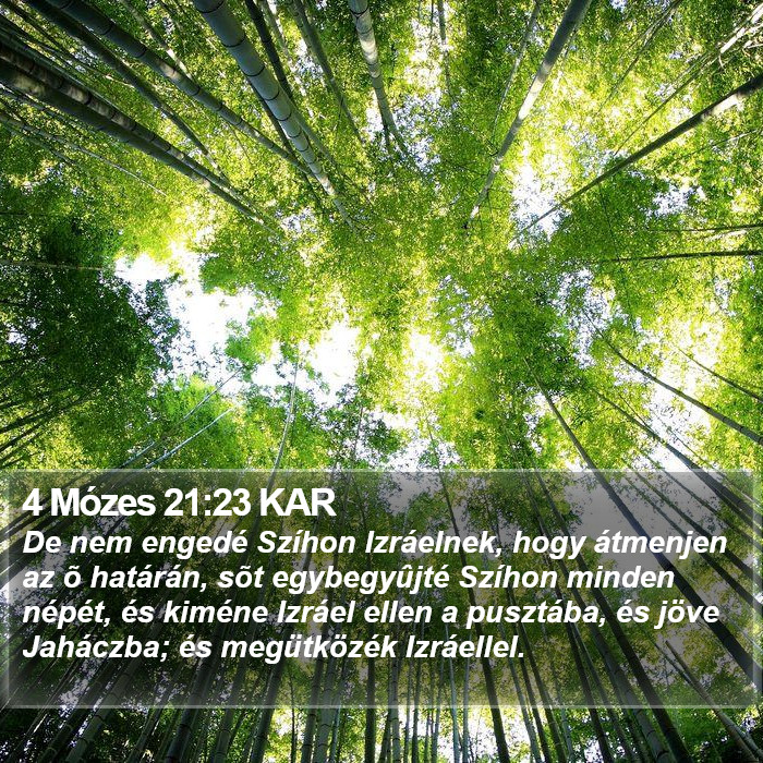 4 Mózes 21:23 KAR Bible Study