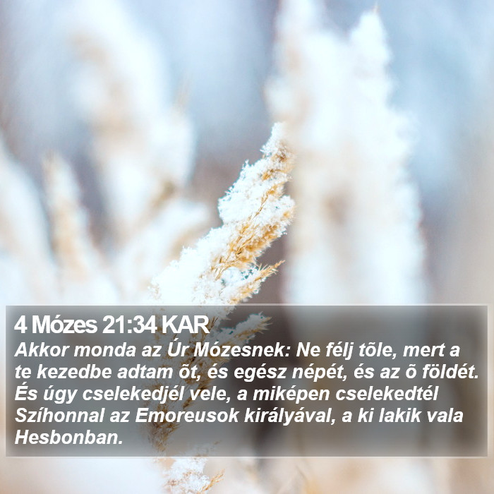 4 Mózes 21:34 KAR Bible Study