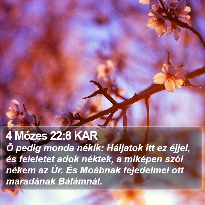 4 Mózes 22:8 KAR Bible Study