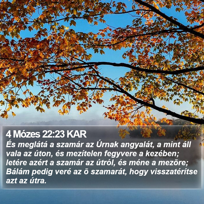 4 Mózes 22:23 KAR Bible Study