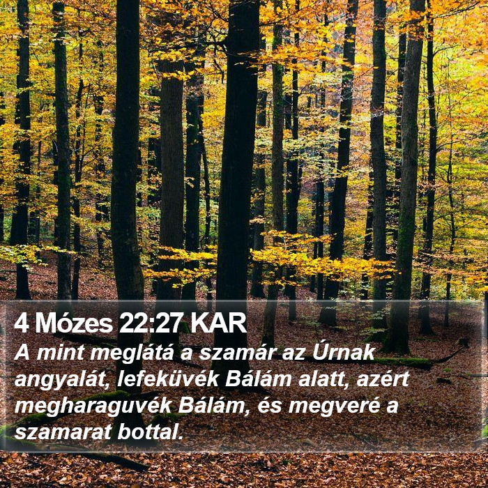 4 Mózes 22:27 KAR Bible Study