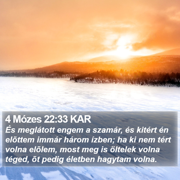 4 Mózes 22:33 KAR Bible Study