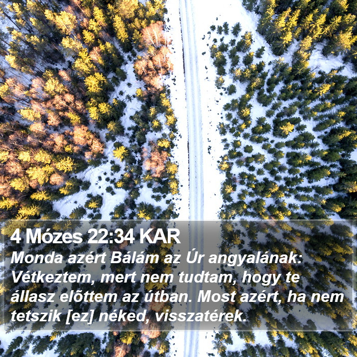 4 Mózes 22:34 KAR Bible Study