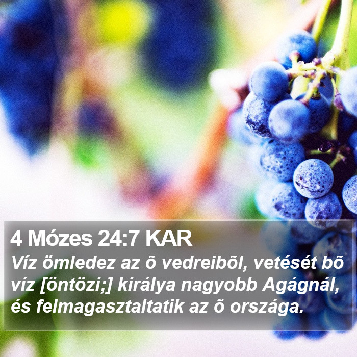 4 Mózes 24:7 KAR Bible Study