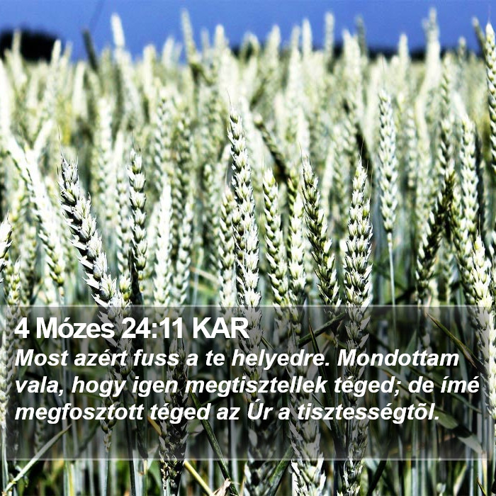 4 Mózes 24:11 KAR Bible Study