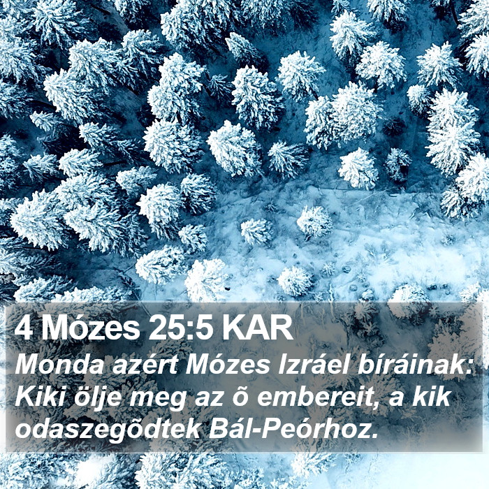 4 Mózes 25:5 KAR Bible Study