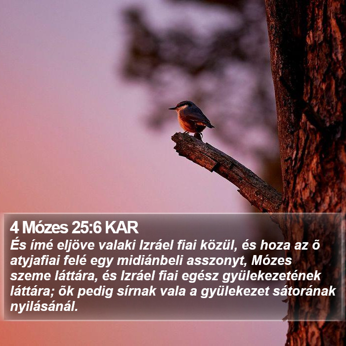 4 Mózes 25:6 KAR Bible Study