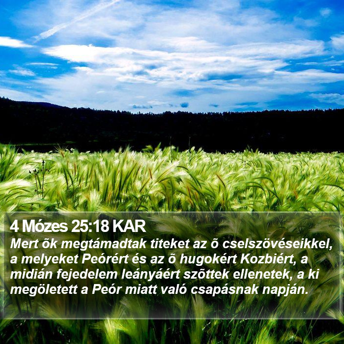 4 Mózes 25:18 KAR Bible Study