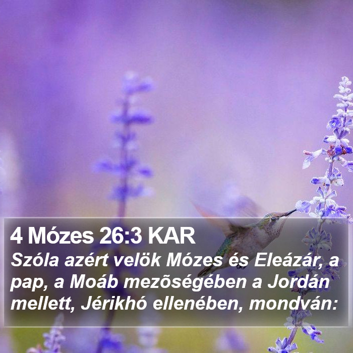 4 Mózes 26:3 KAR Bible Study