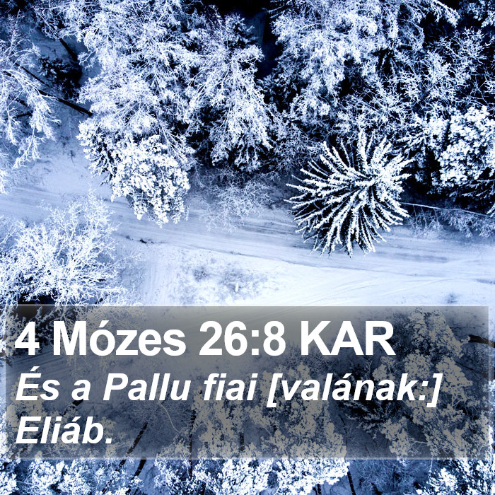 4 Mózes 26:8 KAR Bible Study