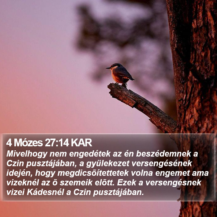 4 Mózes 27:14 KAR Bible Study