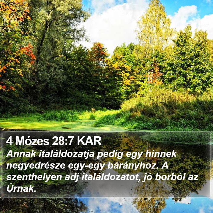 4 Mózes 28:7 KAR Bible Study