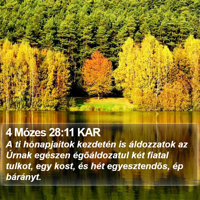 4 Mózes 28:11 KAR Bible Study