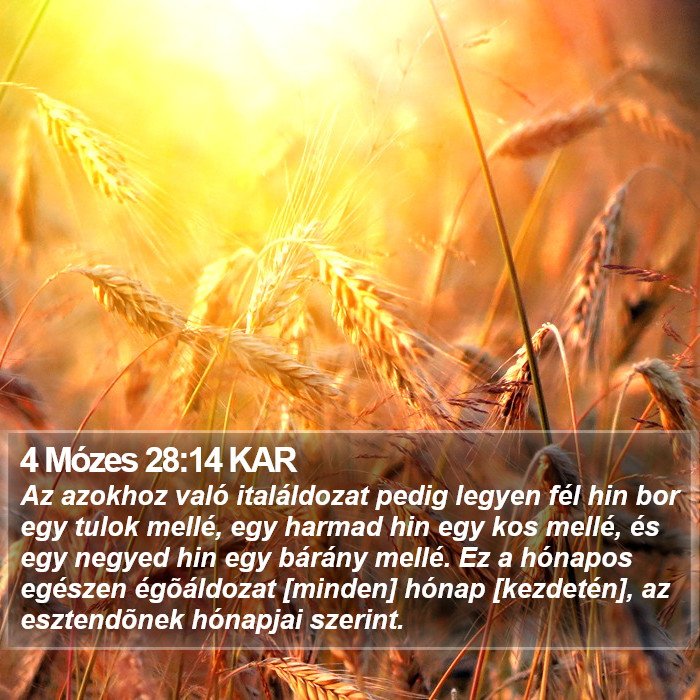 4 Mózes 28:14 KAR Bible Study