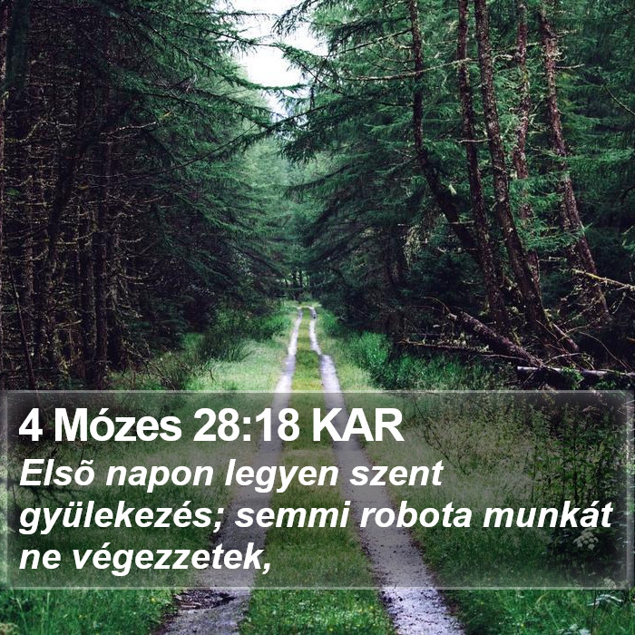 4 Mózes 28:18 KAR Bible Study