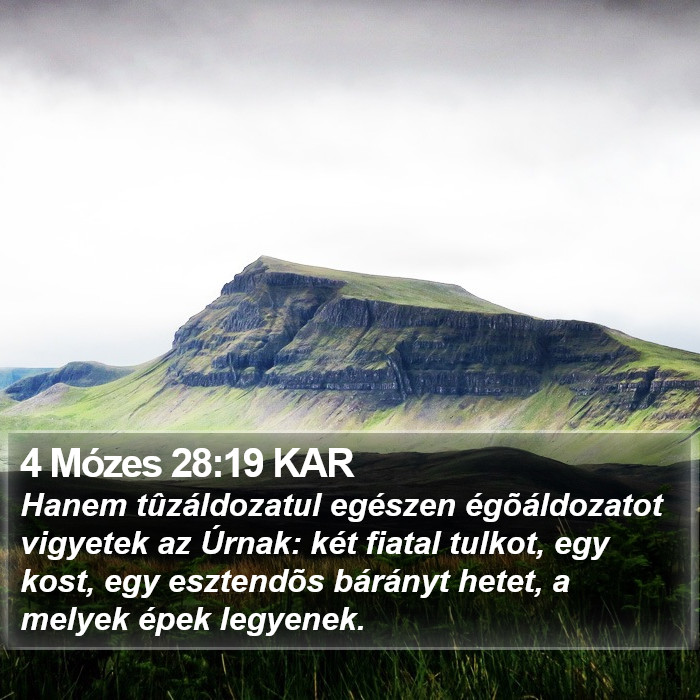 4 Mózes 28:19 KAR Bible Study