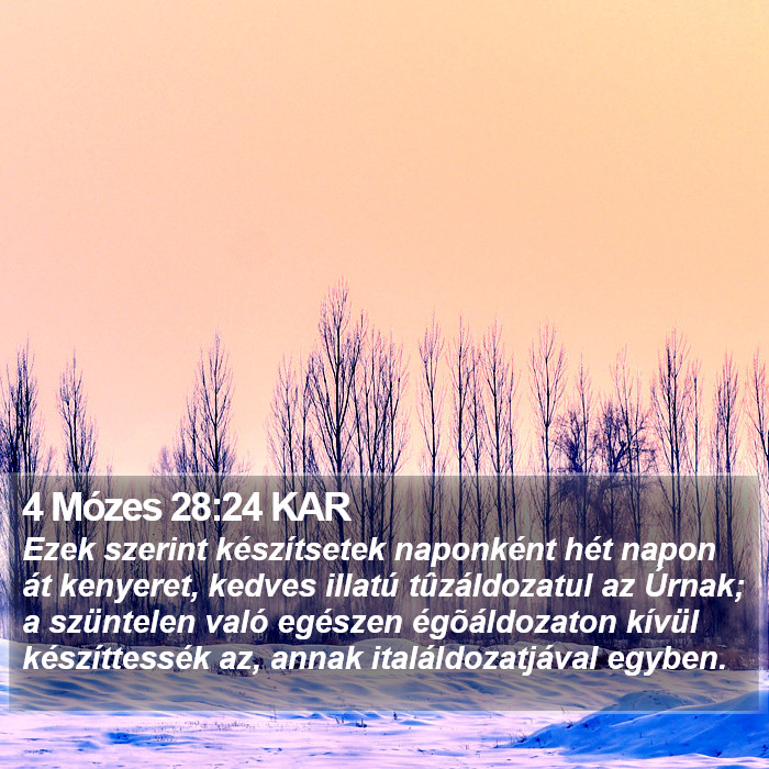 4 Mózes 28:24 KAR Bible Study