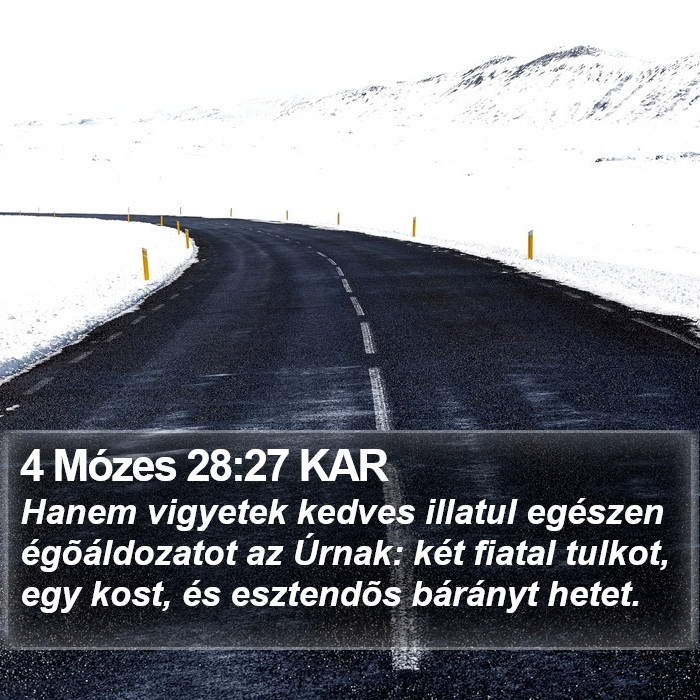4 Mózes 28:27 KAR Bible Study