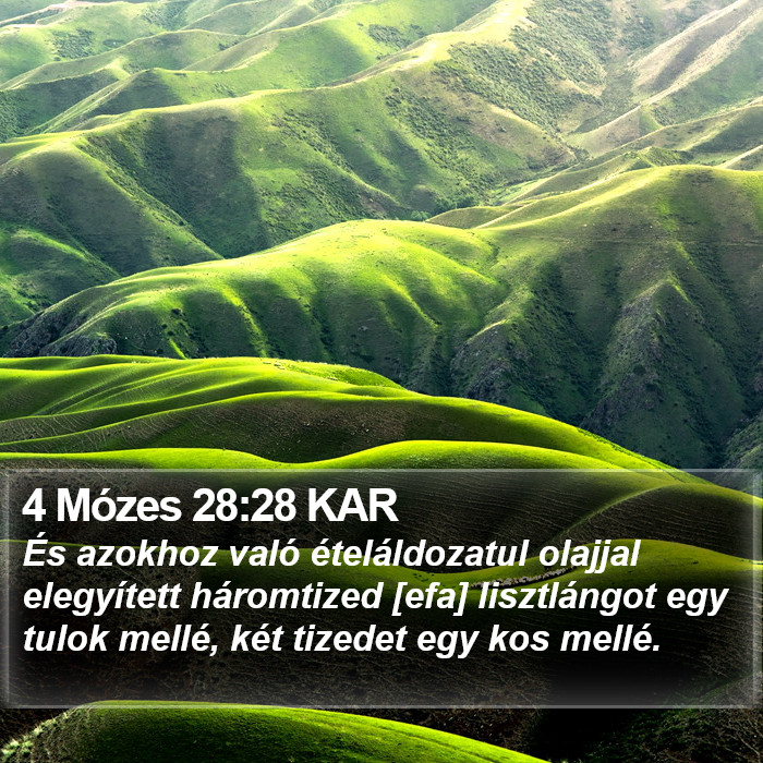 4 Mózes 28:28 KAR Bible Study