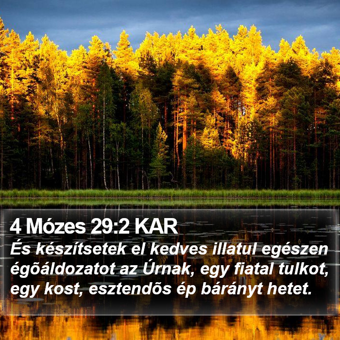 4 Mózes 29:2 KAR Bible Study