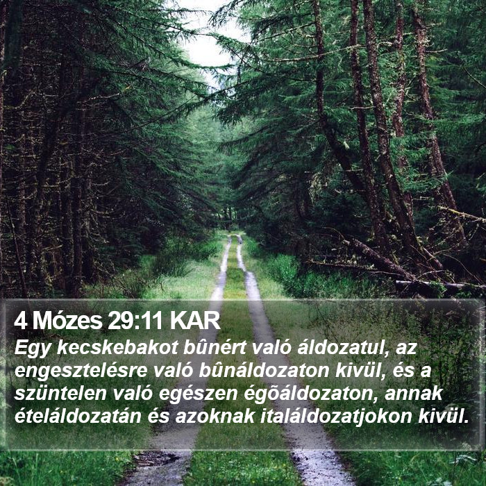 4 Mózes 29:11 KAR Bible Study