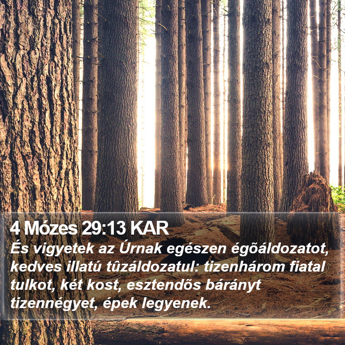 4 Mózes 29:13 KAR Bible Study