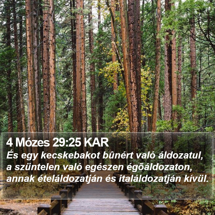 4 Mózes 29:25 KAR Bible Study