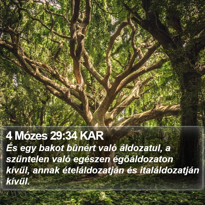 4 Mózes 29:34 KAR Bible Study