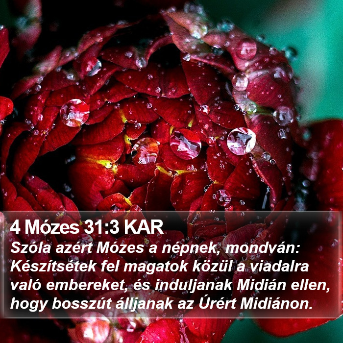 4 Mózes 31:3 KAR Bible Study