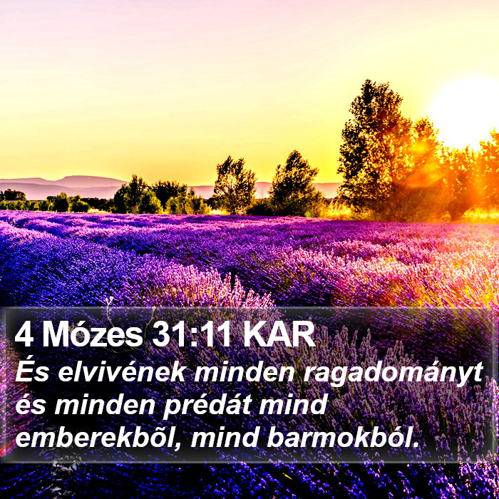4 Mózes 31:11 KAR Bible Study