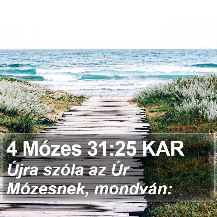 4 Mózes 31:25 KAR Bible Study