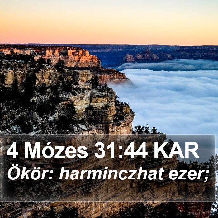 4 Mózes 31:44 KAR Bible Study