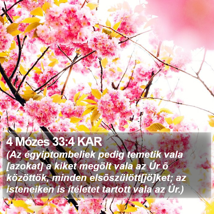 4 Mózes 33:4 KAR Bible Study