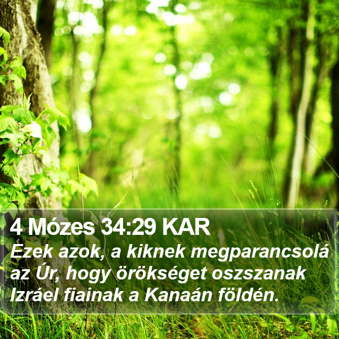 4 Mózes 34:29 KAR Bible Study