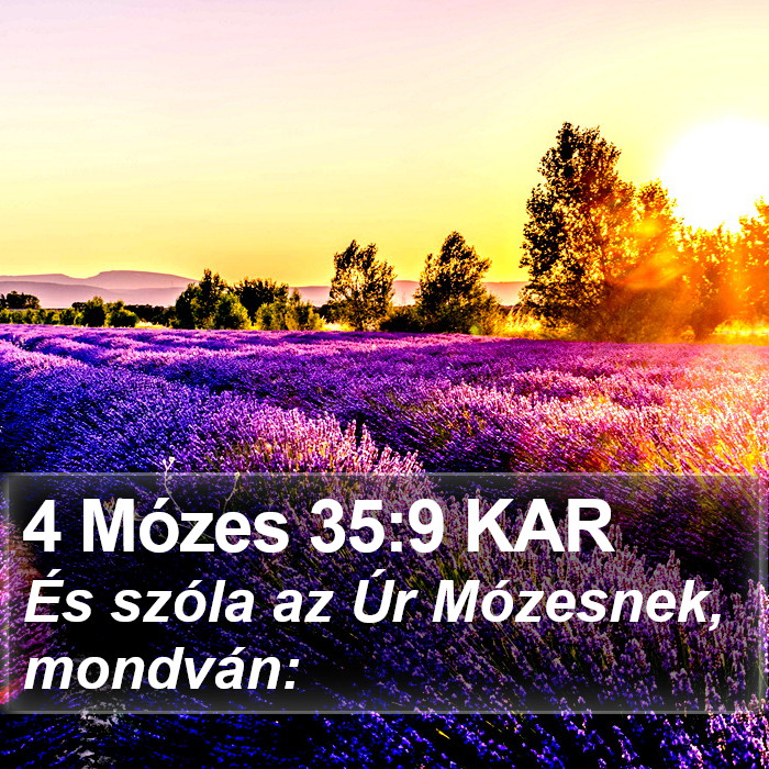 4 Mózes 35:9 KAR Bible Study