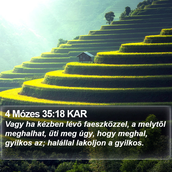 4 Mózes 35:18 KAR Bible Study