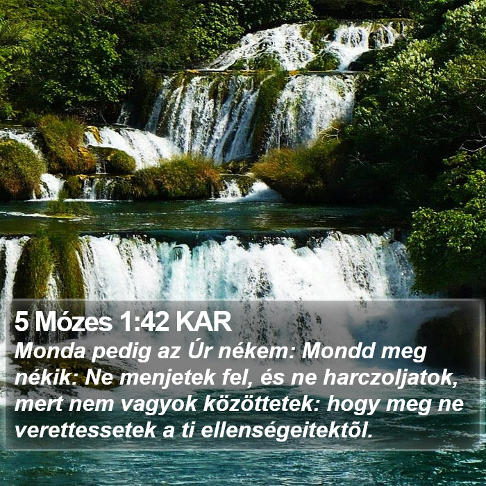 5 Mózes 1:42 KAR Bible Study