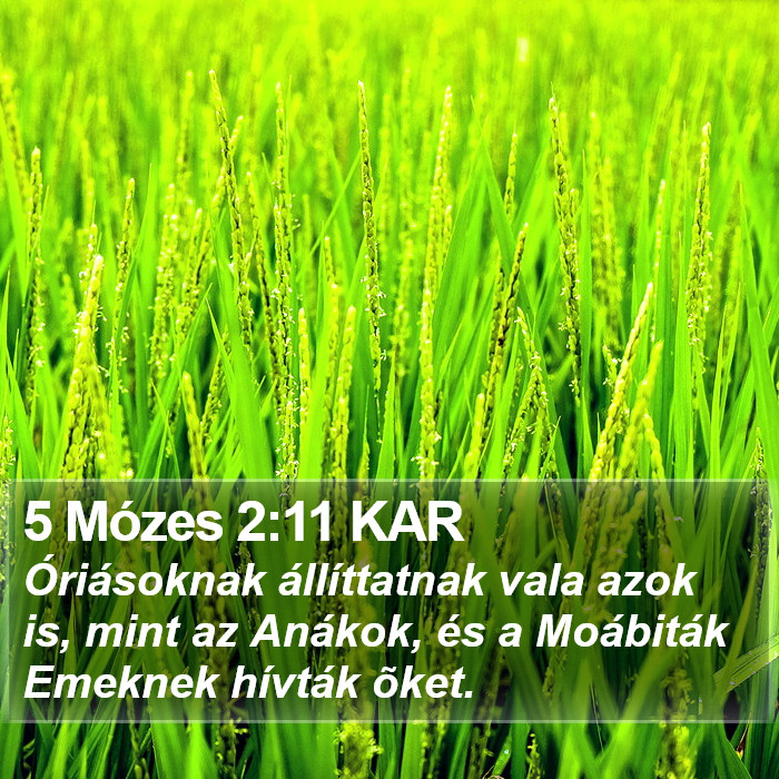 5 Mózes 2:11 KAR Bible Study