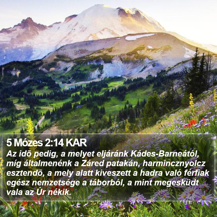 5 Mózes 2:14 KAR Bible Study