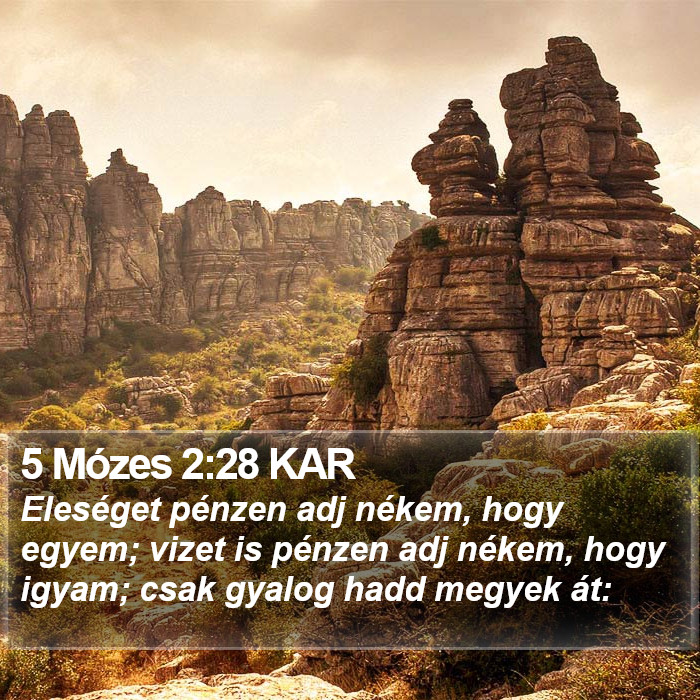 5 Mózes 2:28 KAR Bible Study