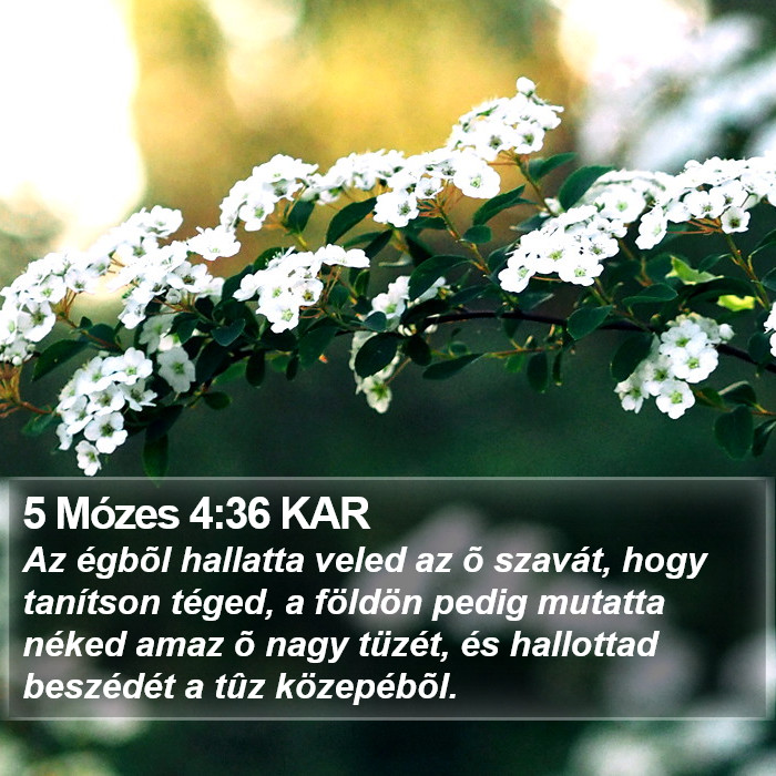 5 Mózes 4:36 KAR Bible Study