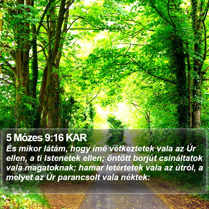 5 Mózes 9:16 KAR Bible Study